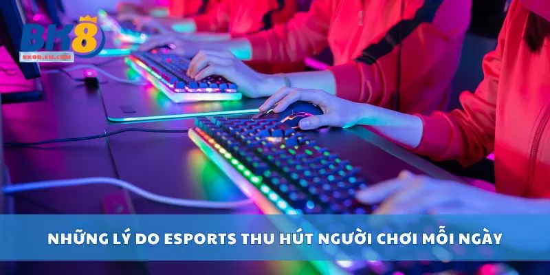 Những lý do esports thu hút người chơi mỗi ngày