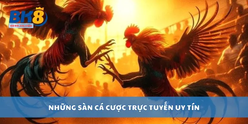 Những sàn cá cược trực tuyến uy tín